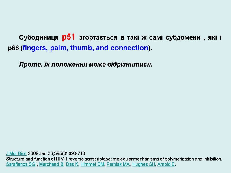 Субодиниця p51 згортається в такі ж самі субдомени , які і p66 (fingers, palm,